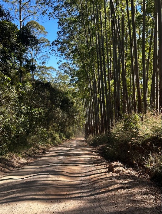 Estrada do Cristo de Poços de Caldas recebe verba para asfalto do Deputado Ulisses Guimarães